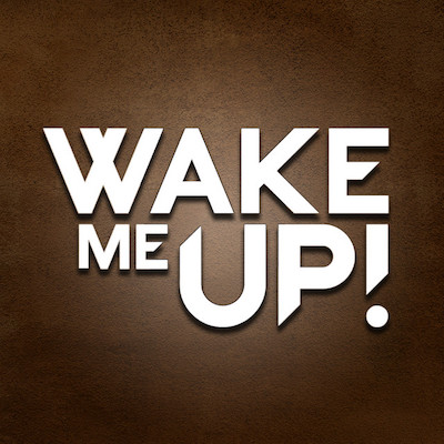 Avicii Wake Me Up