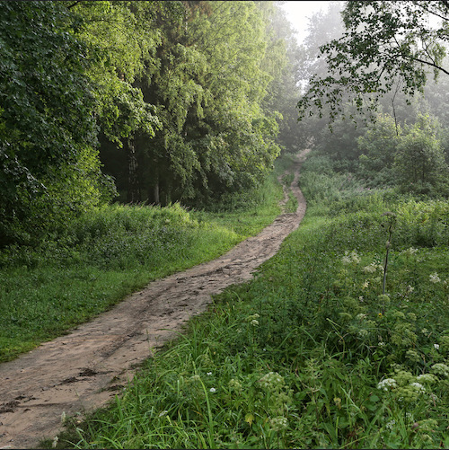 Евгений Родыгин Куда бежишь, тропинка милая