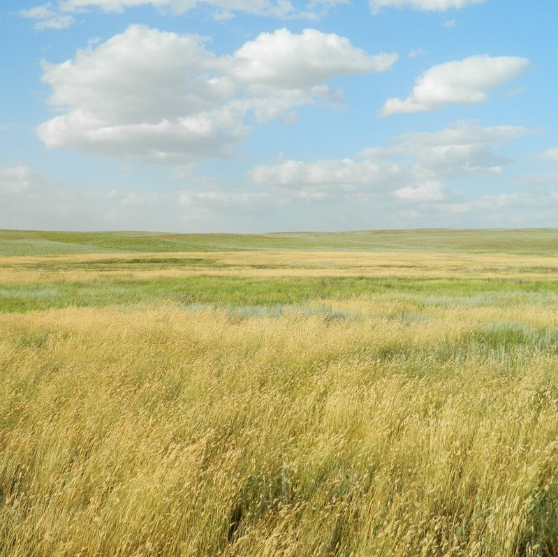 Русская народная песня Ой ты, степь широкая