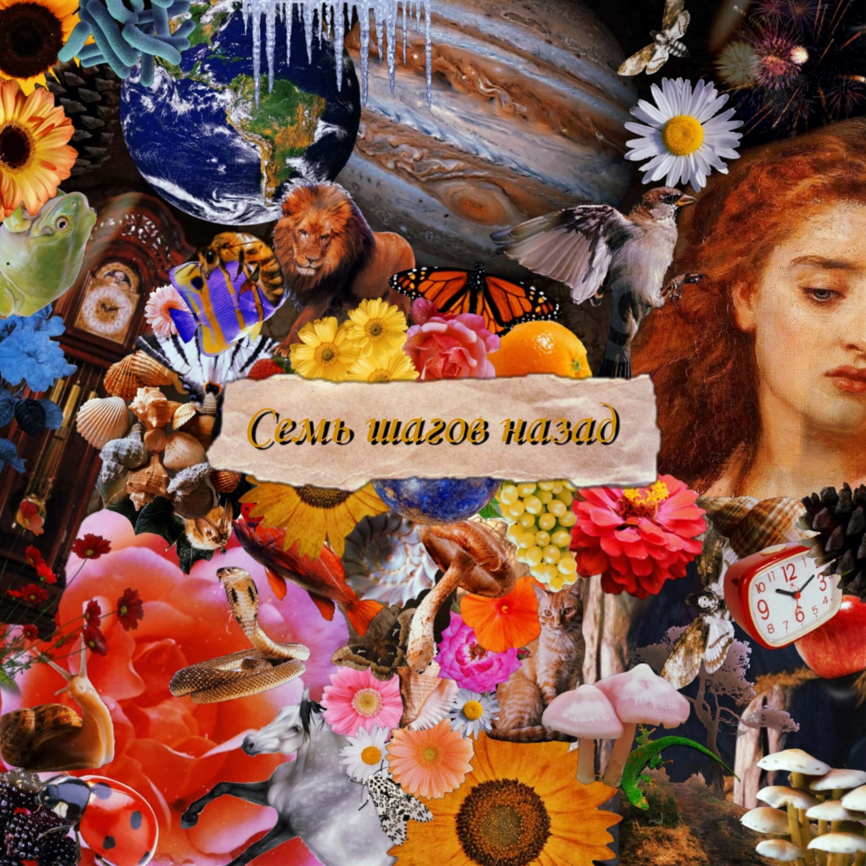 семь шагов назад