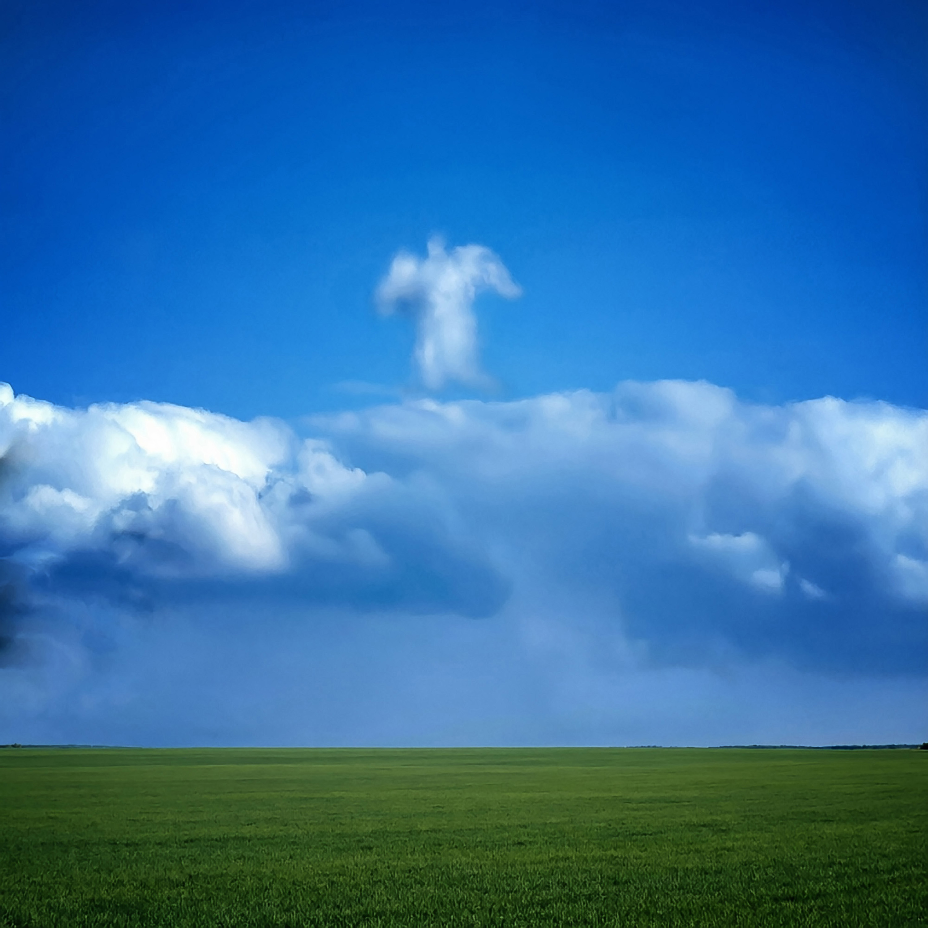 Ты все еще со мной!