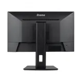 Монитор, iiyama, ProLite PL2493HS, XUB2493HSU-B7 A, 23.8", 1920x1080, IPS, 100 Гц, HDMI, Mini jack, DP, USB (2.0 x4), 1300:1, 300 кд/м2, 1мс, Регулировка наклона, 178/178, 16.7М, 16:9, Черный