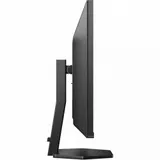 LCD PHILIPS 31.5" 32E1N3500 {IPS 2560x1440 100Hz 5ms 178/178 250cd HDMI1.4 DisplayPort}