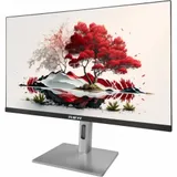 Монитор RDW Computers 27" RDW2707 черный/серебристый IPS 1ms HDMI M/M HAS Piv 350cd 178гр/178гр 2560x1440 180Hz VGA DP QHD USB (RUS)