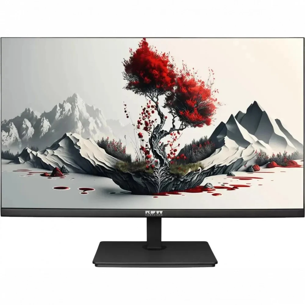 Монитор RDW Computers 23.8" RDW2401K черный IPS 4ms 16:9 HDMI матовая 300cd 178гр/178гр 1920x1080 100Hz VGA DP FHD 4.185кг (RUS)