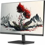 Монитор RDW Computers 23.8" RDW2401K черный IPS 4ms 16:9 HDMI M/M матовая HAS Piv 1000:1 300cd 178гр/178гр 1920x1080 100Hz VGA DP FHD 1.7кг (RUS)