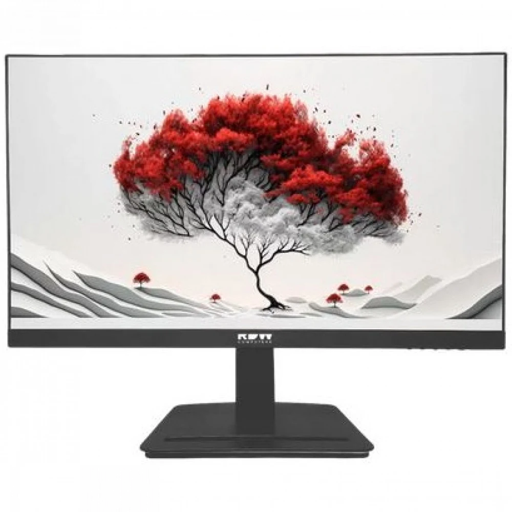 Монитор RDW Computers 23.8" RDW2401K черный IPS 4ms HDMI M/M HAS Piv 350cd 178гр/178гр 1920x1080 VGA DP FHD USB (RUS)
