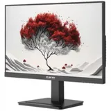 Монитор RDW Computers 23.8" RDW2401K черный IPS 4ms HDMI M/M HAS Piv 350cd 178гр/178гр 1920x1080 VGA DP FHD USB (RUS)