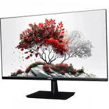 Монитор RDW Computers 27" RDW2701K черный IPS 1ms HDMI M/M матовая HAS Piv 350cd 178гр/178гр 2560x1440 100Hz DP QHD (RUS)