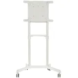 Стойка мобильная Digis DSM-P566