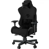 T-Pro 2