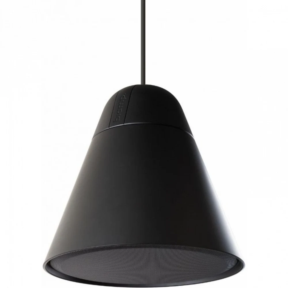 Система акустическая BIAMP [P30DT-BL] (APART) 2-полосная подвесная, сферическая, пассивная. 4,25"НЧ, 1"ВЧ. 75 Гц 20 кГц. 50Вт -100Вт(16 Ом). 3,75Вт / 7.5Вт / 15Вт / 30Вт (100 В). Макс. SPL:110 dB. 1