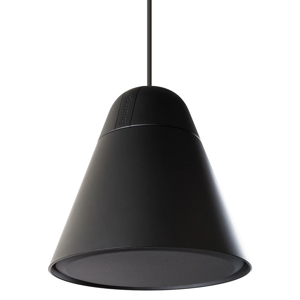 Акустическая система BIAMP [P60DT-BL] (APART) подвесная, сферическая, пассивная. 6,5"НЧ, 1"ВЧ. 75 Гц 22 кГц. 120Вт(16 Ом). 7,5Вт / 15Вт / 30Вт / 60Вт (100 В). Макс. SPL: 113 dB. HxV: 120°. Indoor. E