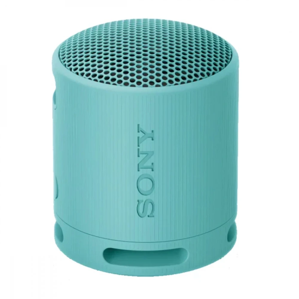 Портативная колонка Sony SRS-XB100/LCE