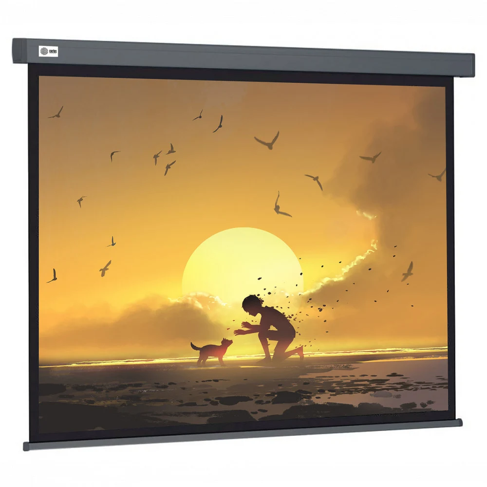 Экран настенно-потолочный CACTUS 124.5x221см, 16:9 Wallscreen CS-PSW-124X221-SG серый (CS-PSW-124X221-SG)