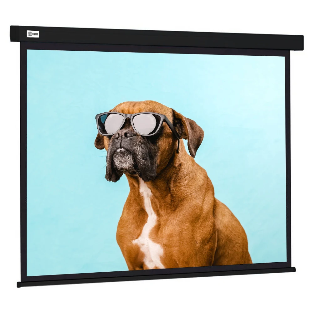 Экран настенно-потолочный CACTUS 183x244см, 4:3 Wallscreen CS-PSW-183X244-BK рулонный черный (CS-PSW-183X244-BK)
