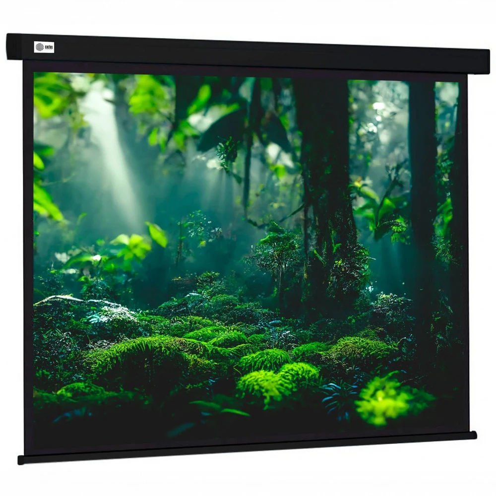 Экран Cactus 119" 213x213см Wallscreen CS-PSW-213X213-BK 1:1 настенно-потолочный рулонный черный