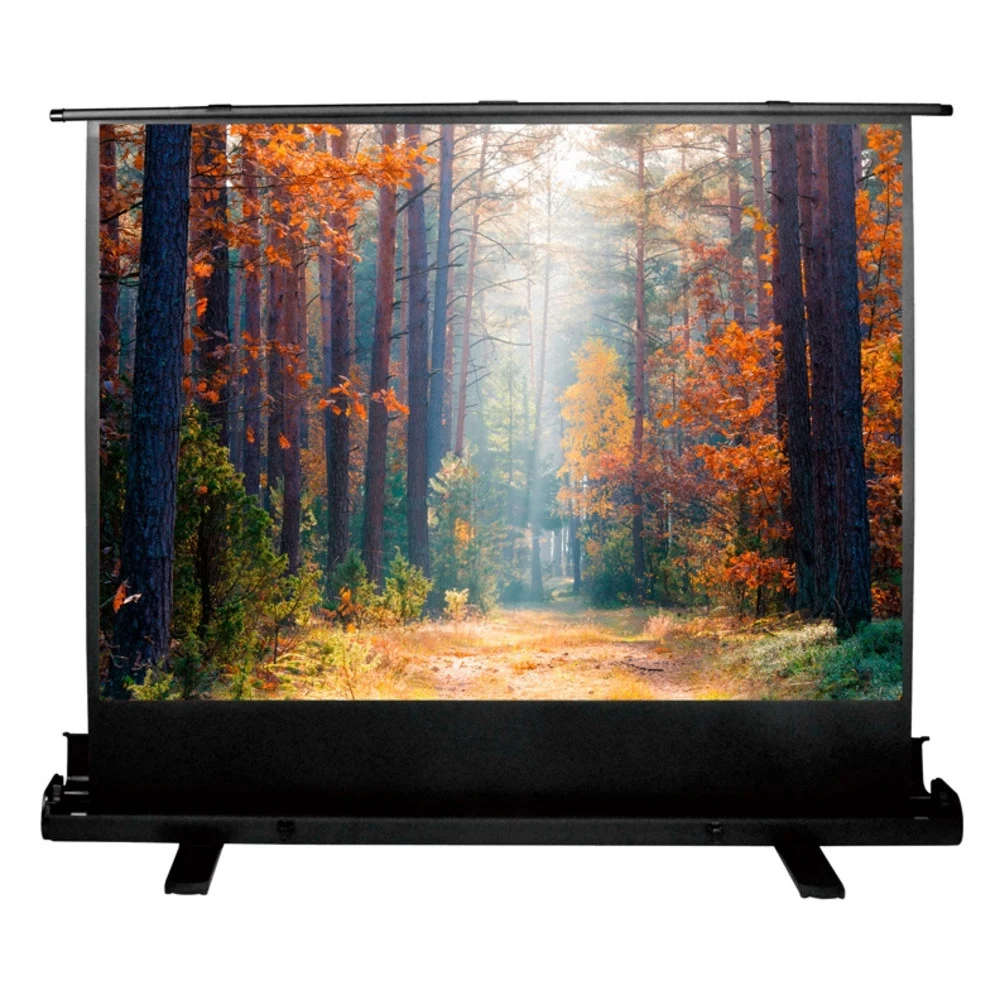Экран Cactus 89" 135x180см FloorExpert CS-PSFLE-180X135 4:3 напольный рулонный