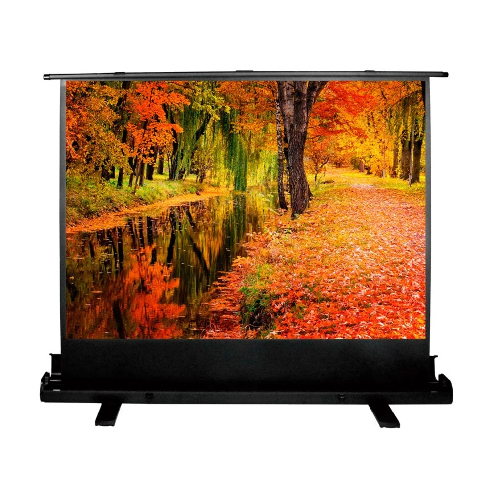 Экран Cactus 98" 150x200см FloorExpert CS-PSFLE-200X150 4:3 напольный рулонный