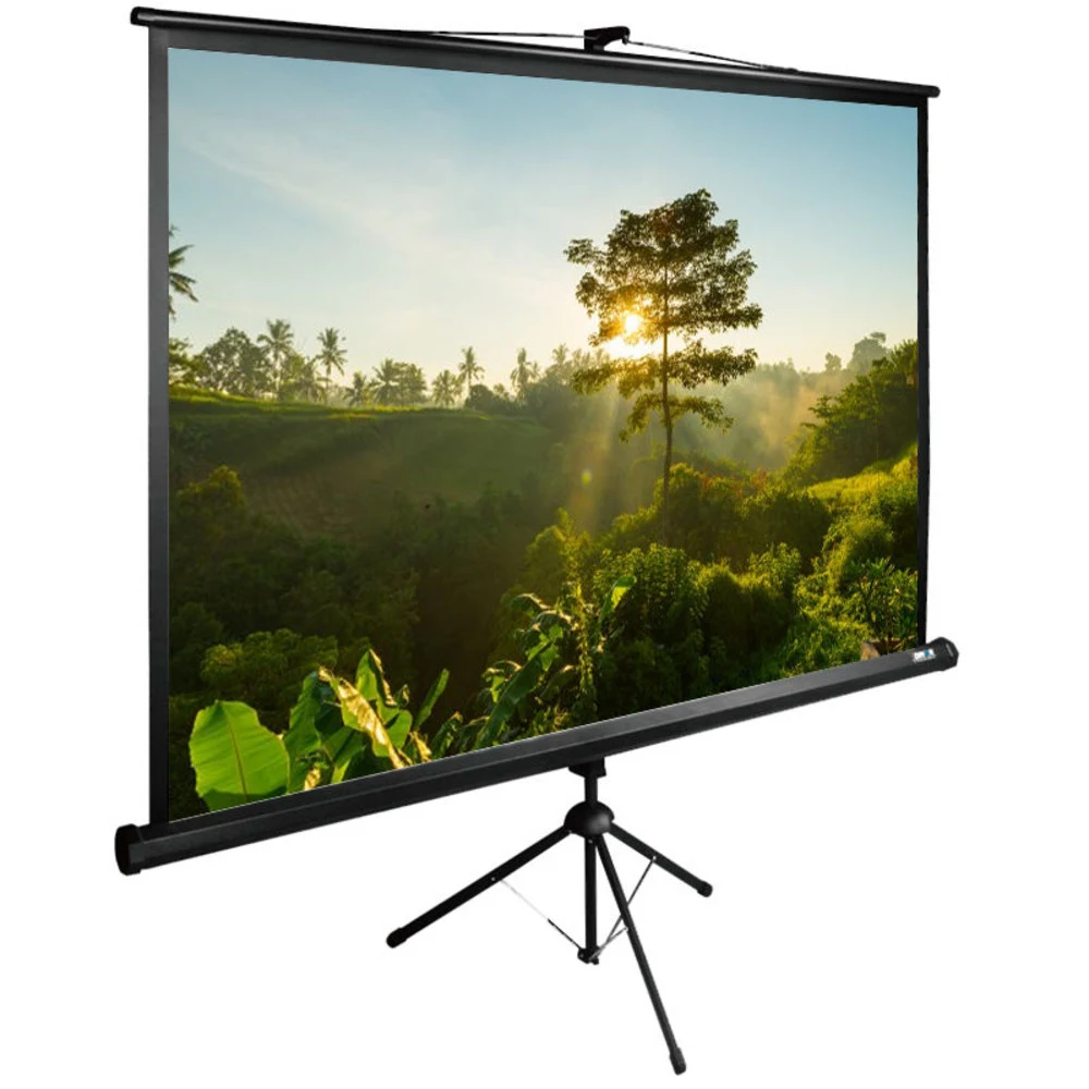 Экран на штативе CACTUS 200x200см, 1:1 TriExpert CS-PSTE-200x200-BK рулонный черный (CS-PSTE-200X200-BK)