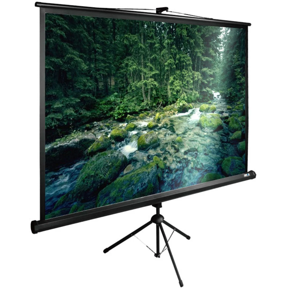 Экран Cactus 108" 165x220см TriExpert CS-PSTE-220x165-BK 4:3 напольный рулонный черный