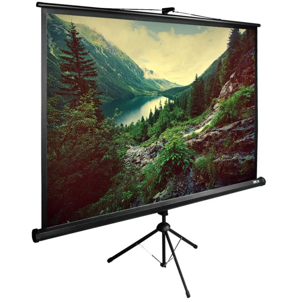 Экран Cactus 122" 220x220см TriExpert CS-PSTE-220x220-BK 1:1 напольный рулонный черный