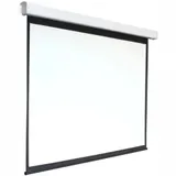 Экран 159x159см Digis Electra-F DSEF-1103 1:1 настенно-потолочный рулонный (моторизованный привод)