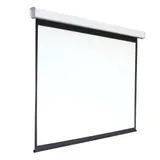 Экран 300x300см Digis Electra-F DSEF-1110 1:1 настенно-потолочный рулонный (моторизованный привод)