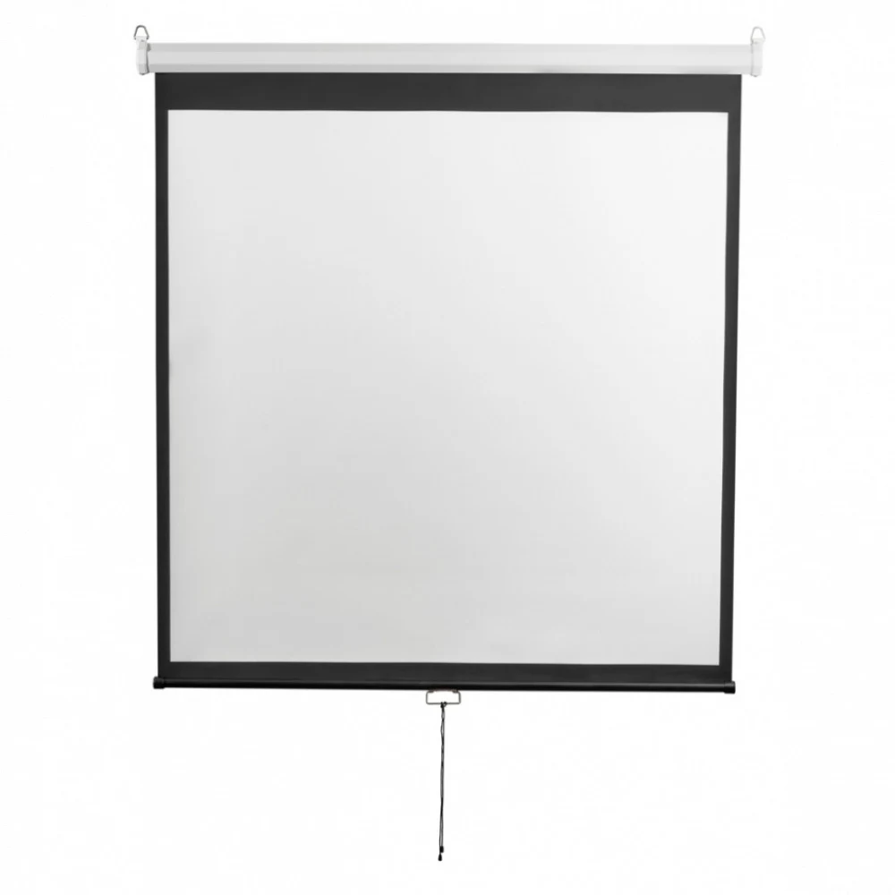 Экран настенный Digis DSOD-16907 Optimal-D, формат 16:9, 135", 308x177, рабочая поверхность 300x168, MW)