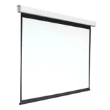 Экран 168x300см Digis Electra-F DSEF-16906 16:9 настенно-потолочный рулонный (моторизованный привод)