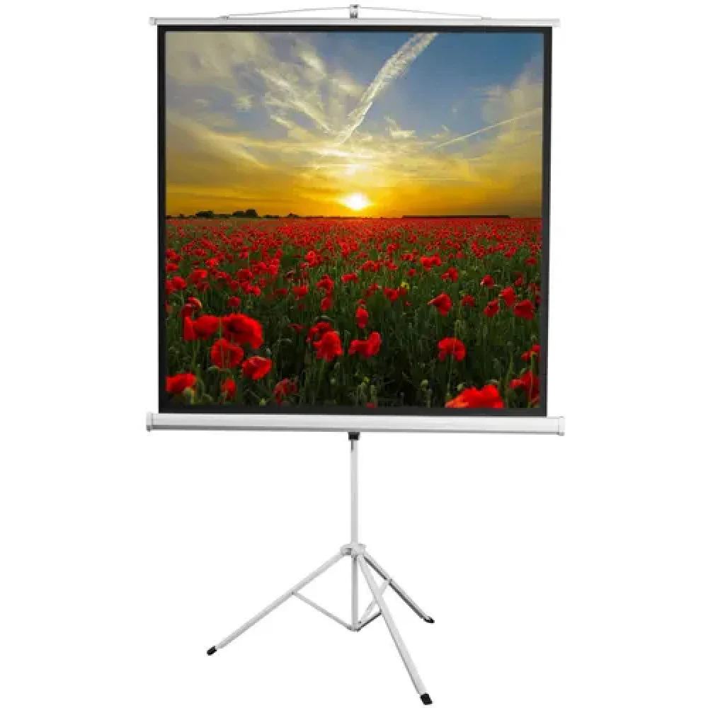 Экран 150x150см Digis Kontur-D DSKD-1103 1:1 напольный рулонный