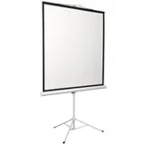 Экран 150x150см Digis Kontur-D DSKD-1103 1:1 напольный рулонный
