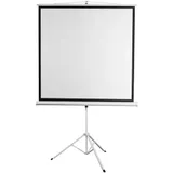 Экран 150x150см Digis Kontur-D DSKD-1103 1:1 напольный рулонный