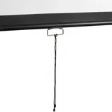 Экран настенный Digis DSOD-16908 Optimal-D, формат 16:9, 150", 338x196, рабочая поверхность 330x187, MW)