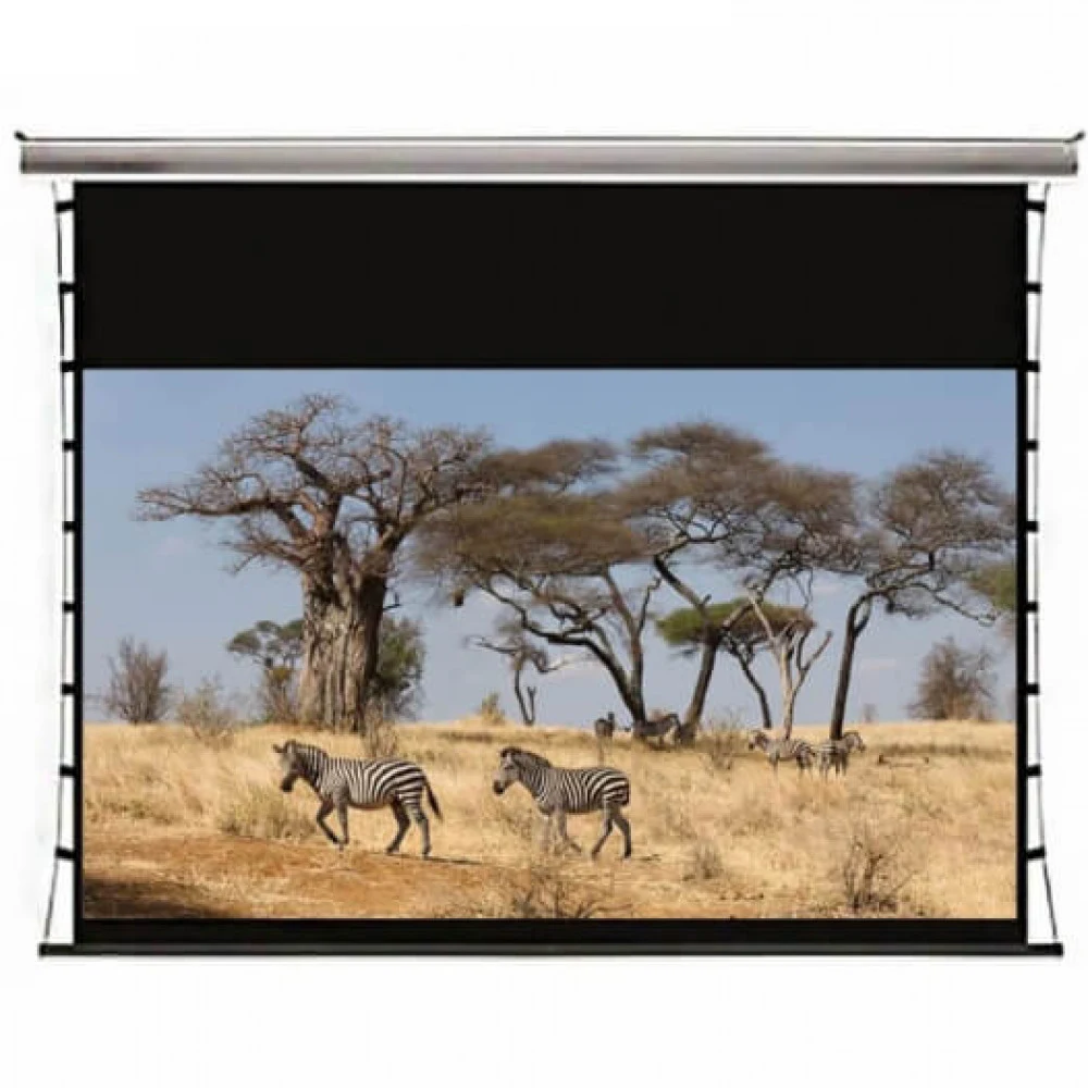 Kauber InCeiling Tensioned BT Cinema 122&quot 16:9 152x270 дроп 60 см. Clear Vision