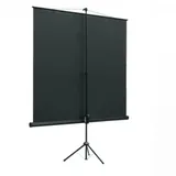 Экран на треноге Lumien 180x180см Eco View LEV-100107 1:1 напольный рулонный