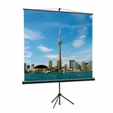 [LEV-100109] Экран на штативе Lumien [Eco View] 220x220см (раб.область 214х214 см) Matte White с возможностью настенного крепления 1:1