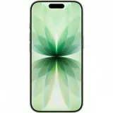 Смартфон Apple iPhone 17 512Gb Sage A3520 MG6V4HN/A (Sim+eSim) 195950645248
