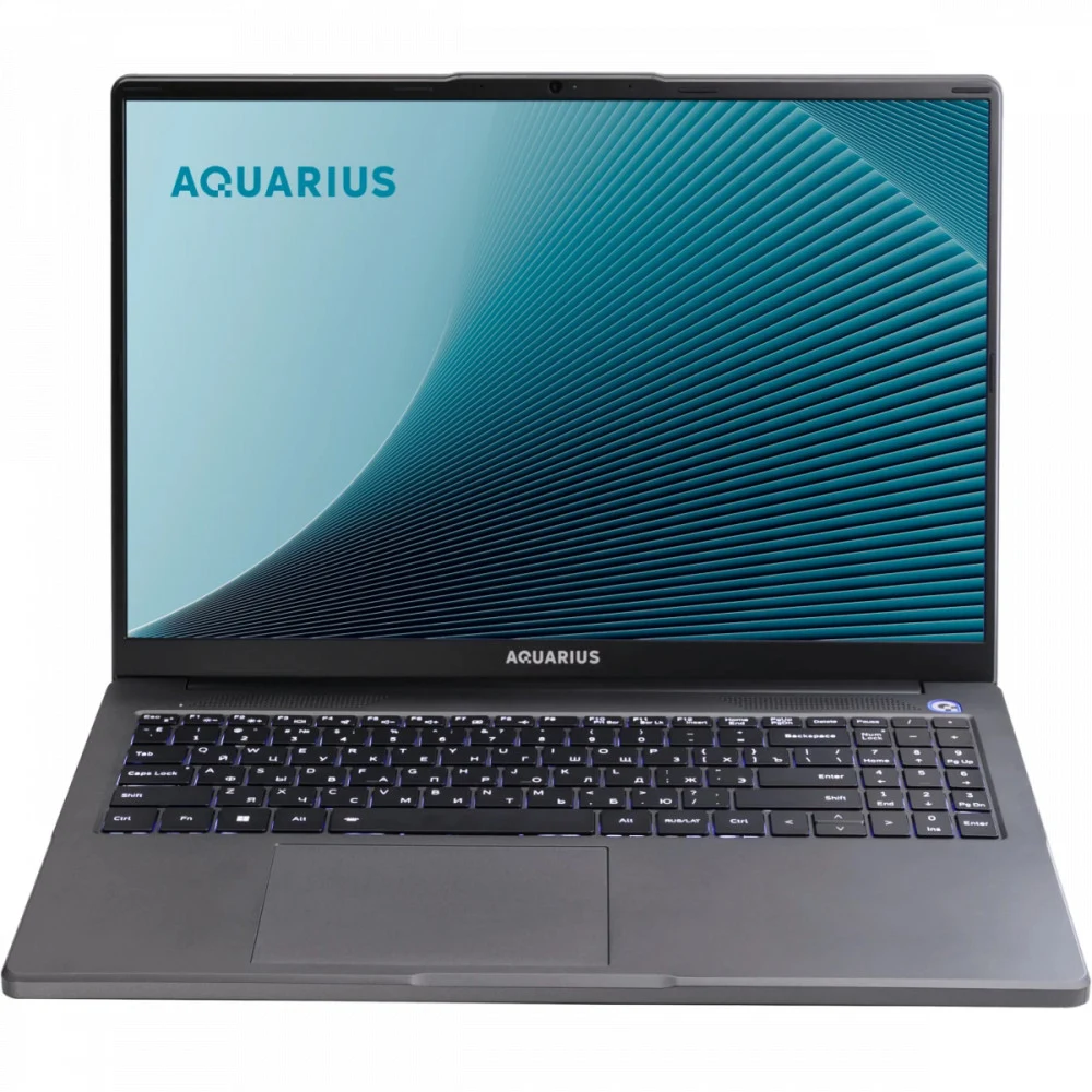 Ноутбук Aquarius Cmp NE356 Ryzen 5 6600H 8Gb SSD256Gb 16" WUXGA без ОС WiFi BT (NE356153318S125SCN2TMANNN2)