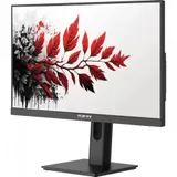 Монитор RDW Computers 27" RDW2701K черный IPS 5ms HDMI M/M HAS Piv 300cd 178гр/178гр 1920x1080 120Hz VGA DP FHD (RUS)