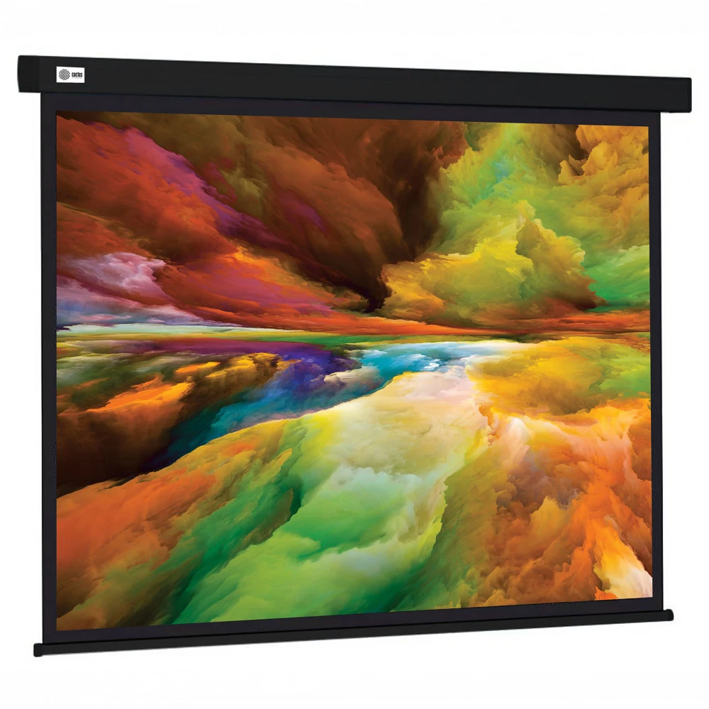 Экран Cactus 135" 206x274см Wallscreen CS-PSW-206X274-BK 4:3 настенно-потолочный рулонный черный