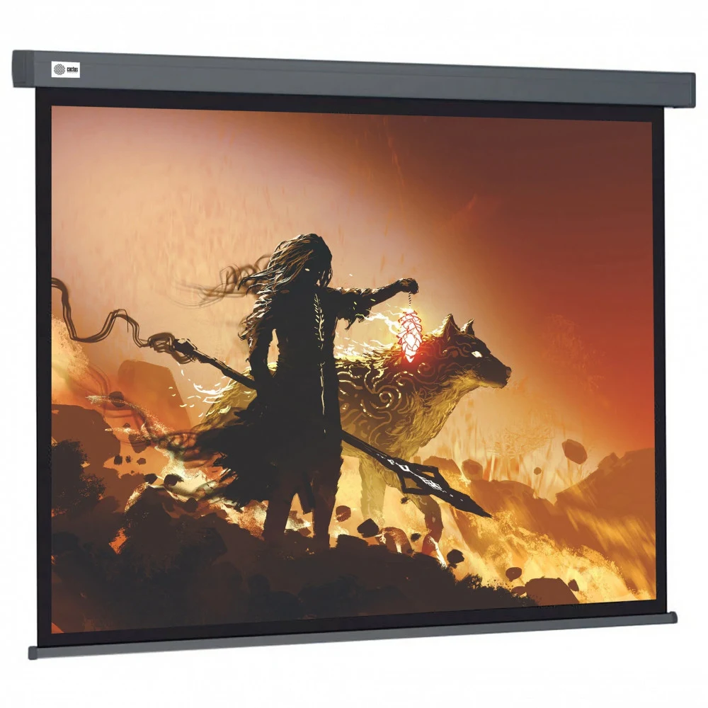 Экран Cactus 119" 213x213см Wallscreen CS-PSW-213X213-SG 1:1 настенно-потолочный рулонный серый
