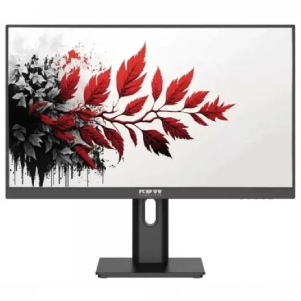 Монитор RDW Computers 27" RDW2701K черный IPS 5ms HDMI HAS Piv 300cd 178гр/178гр 1920x1080 100Hz VGA DP FHD (RUS)