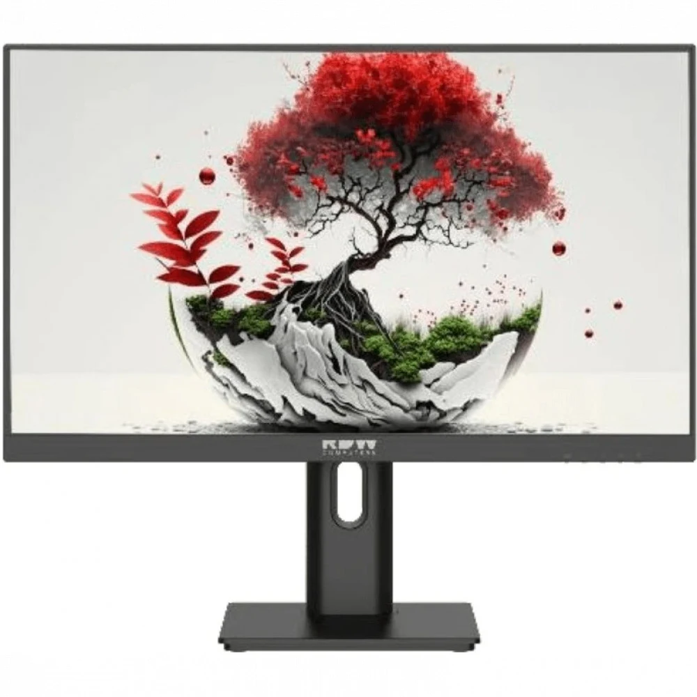 Монитор RDW Computers 23.8" RDW2401K черный IPS 4ms HDMI M/M HAS Piv 350cd 178гр/178гр 1920x1080 100Hz VGA DP FHD USB (RUS)