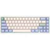Eucalyptus Minilo VXT67 HOTSWAP Kailh Prestige Light (ENG)