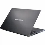 Ноутбук Aquarius Cmp NE356 Ryzen 5 6600H 8Gb SSD256Gb 16" без ОС WiFi BT Cam (NE356153318S125SCN2TNNNNN2)