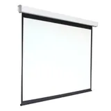 Экран 220x300см Digis Electra-F DSEF-4305 4:3 настенно-потолочный рулонный (моторизованный привод)