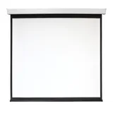 Экран 220x300см Digis Electra-F DSEF-4305 4:3 настенно-потолочный рулонный (моторизованный привод)