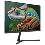 MW-LC22-E Монитор с диагональю 22&quot