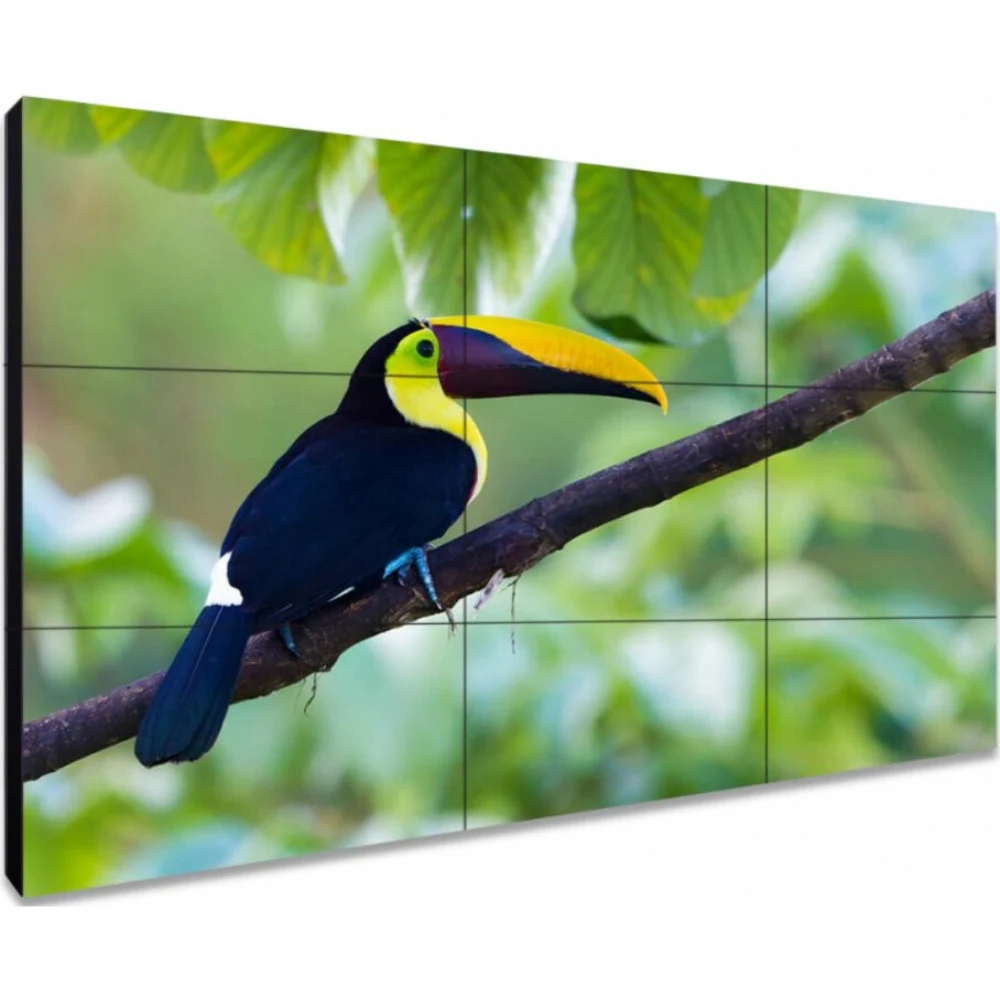ЖК-панель для видеостен Exell EXPD-WA55AB15 55&quot